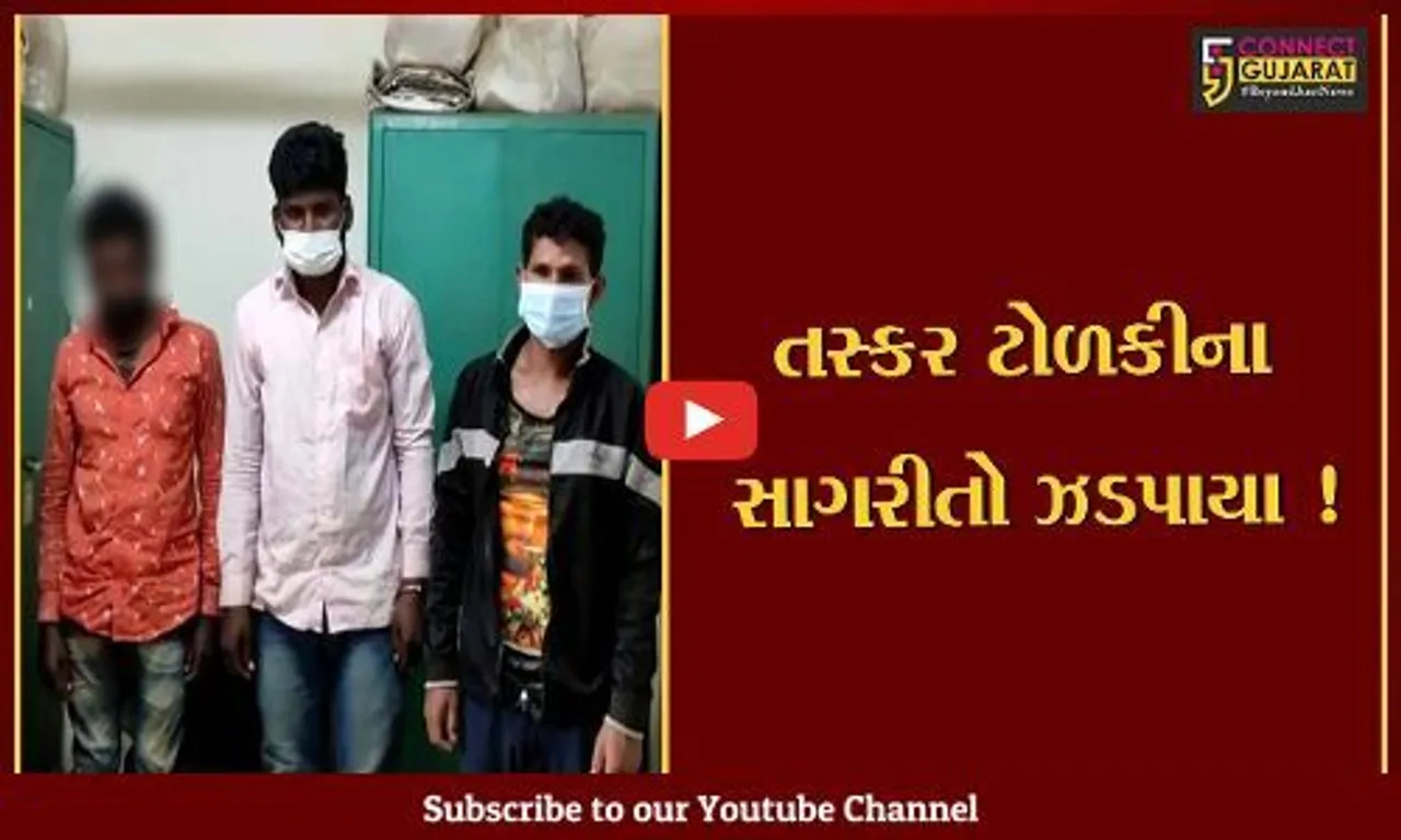 નવસારી: વાંસદા પોલીસે તસ્કર ટોળકીના 4 સાગરીતોને ફિલ્મી ઢબે પીછો કરી ઝડપી પાડ્યા