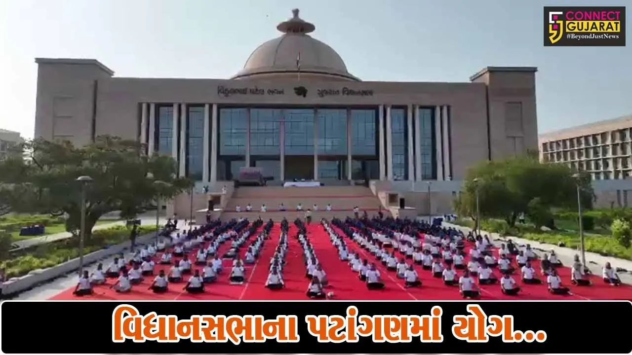 ગાંધીનગર : સૌપ્રથમવાર ગુજરાત વિધાનસભા ખાતે વિશ્વ યોગ દિવસની ઉજવણી, અધ્યક્ષ શંકર ચૌધરી રહ્યા ઉપસ્થિત...