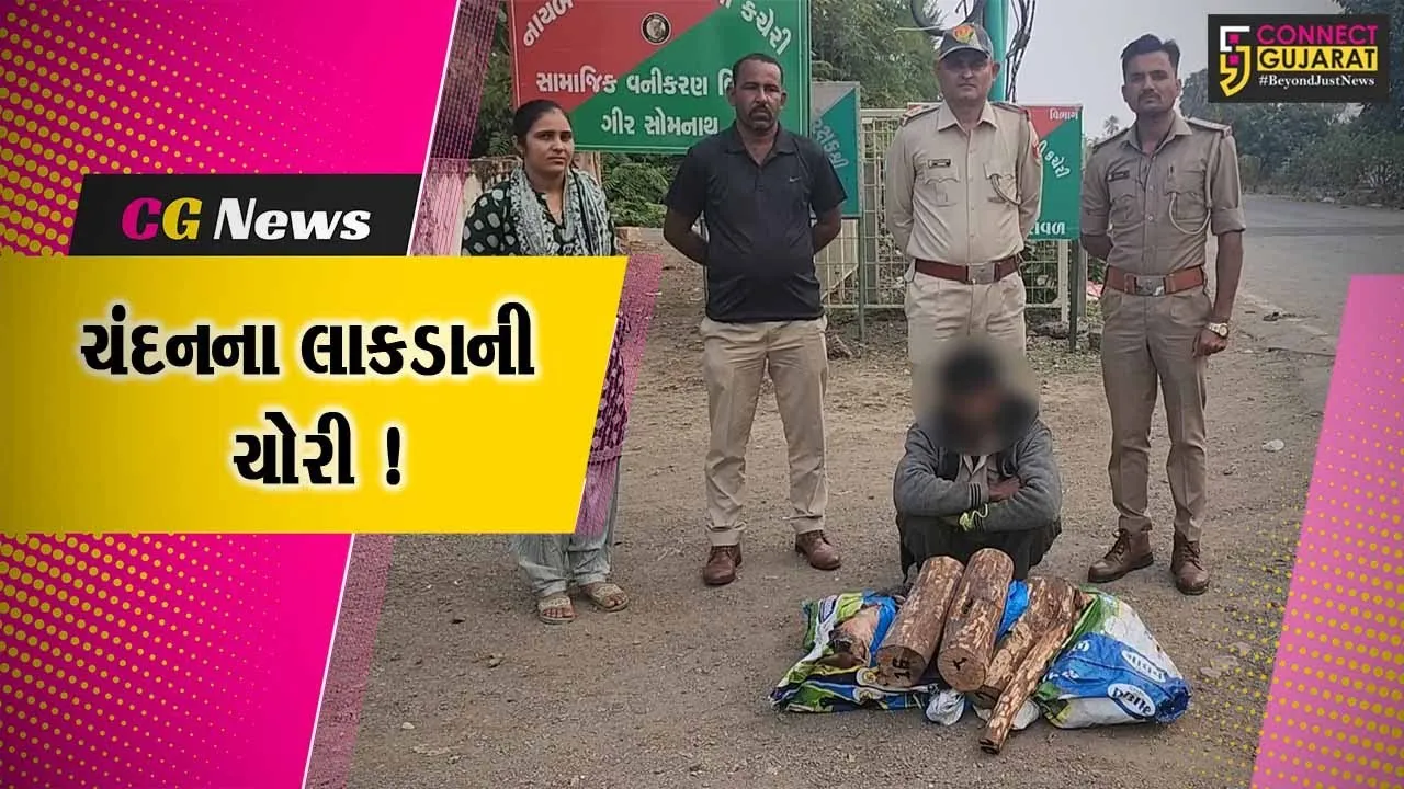 ગીર સોમનાથ: વેરાવળ વનવિભાગ દ્વારા ચંદનના ચોરીના લાકડા સાથે એક આરોપીની ધરપકડ
