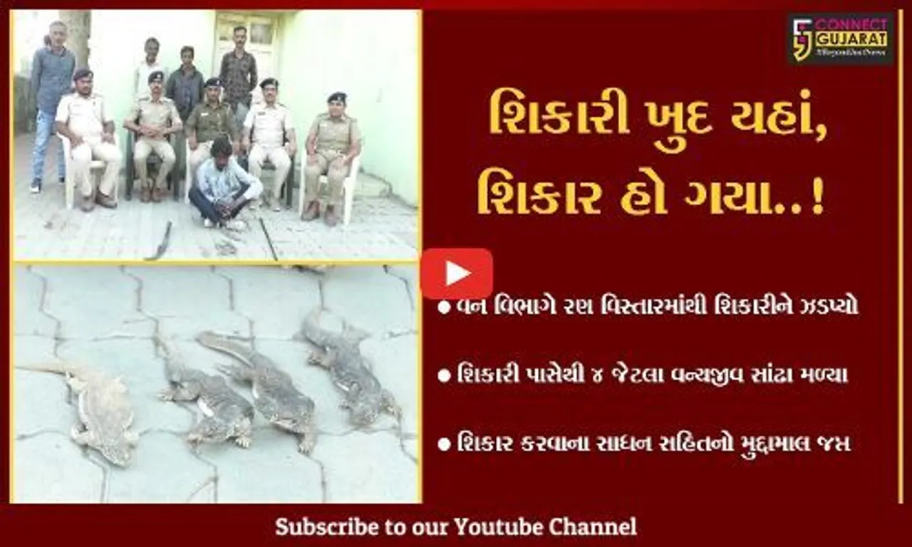 સુરેન્દ્રનગર : રણ વિસ્તારમાંથી વન્યજીવ સાંઢા સાથે વન વિભાગે કરી શિકારીની ધરપકડ...