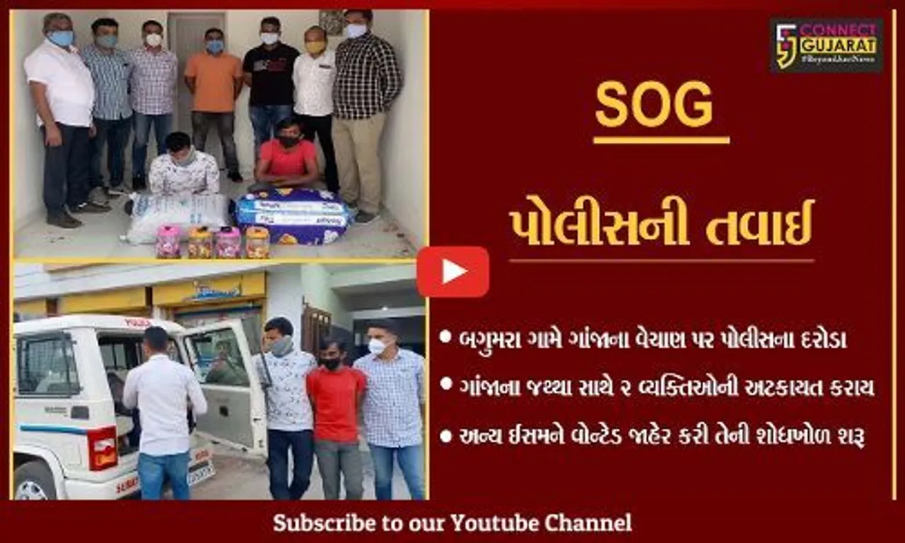 સુરત : બગુમરા ગામે 2 ઇસમો કરતાં હતા ગાંજાનું વેચાણ, SOG પોલીસે ઝડપી પાડ્યા...