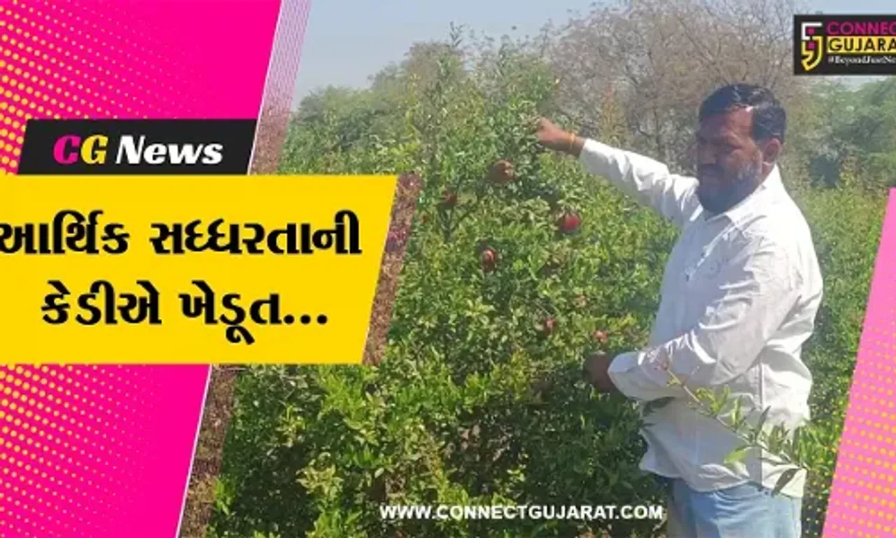 પંચમહાલ : ભગવાસિંદુરી જાતના દાડમની ઉજડા ગામના પ્રગતિશીલ ખેડૂતે કરી સફળ ખેતી...