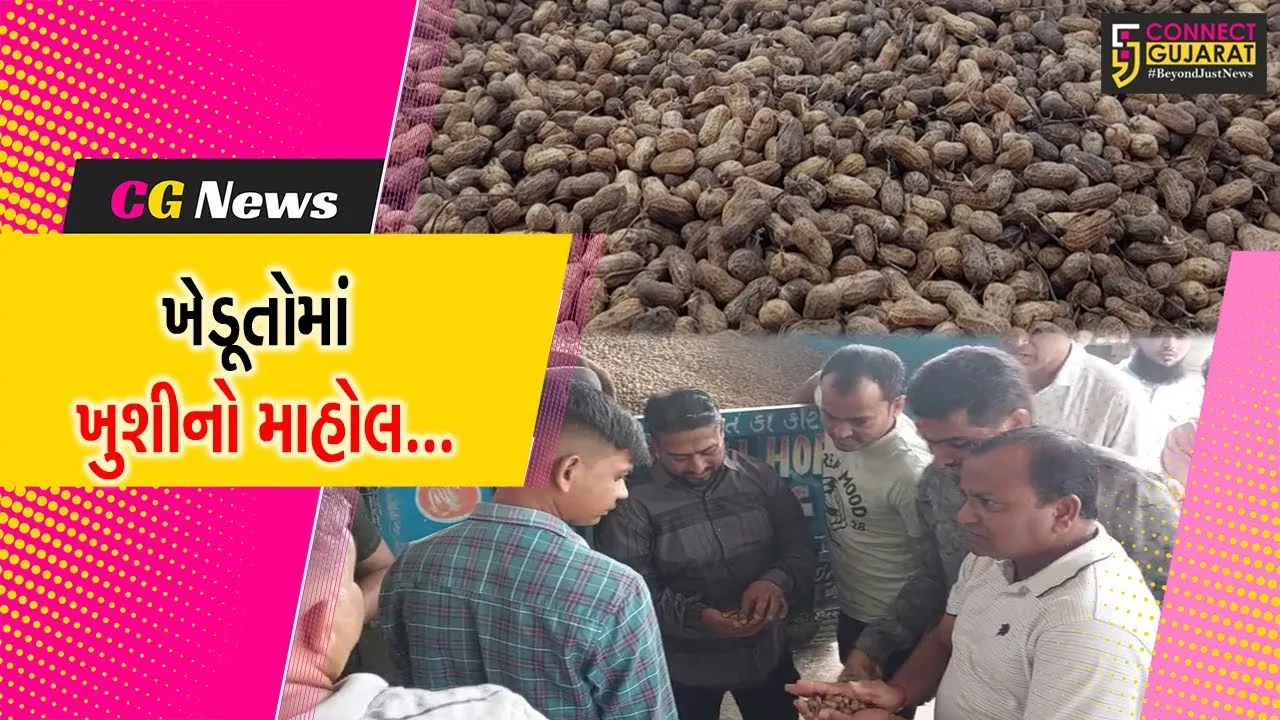 ગુજરાતમાં અહીં ખેડૂતોને મળી રહ્યા છે મગફળીના સારા ભાવ, ધરતીપુત્રોમાં ખુશીનો માહોલ...