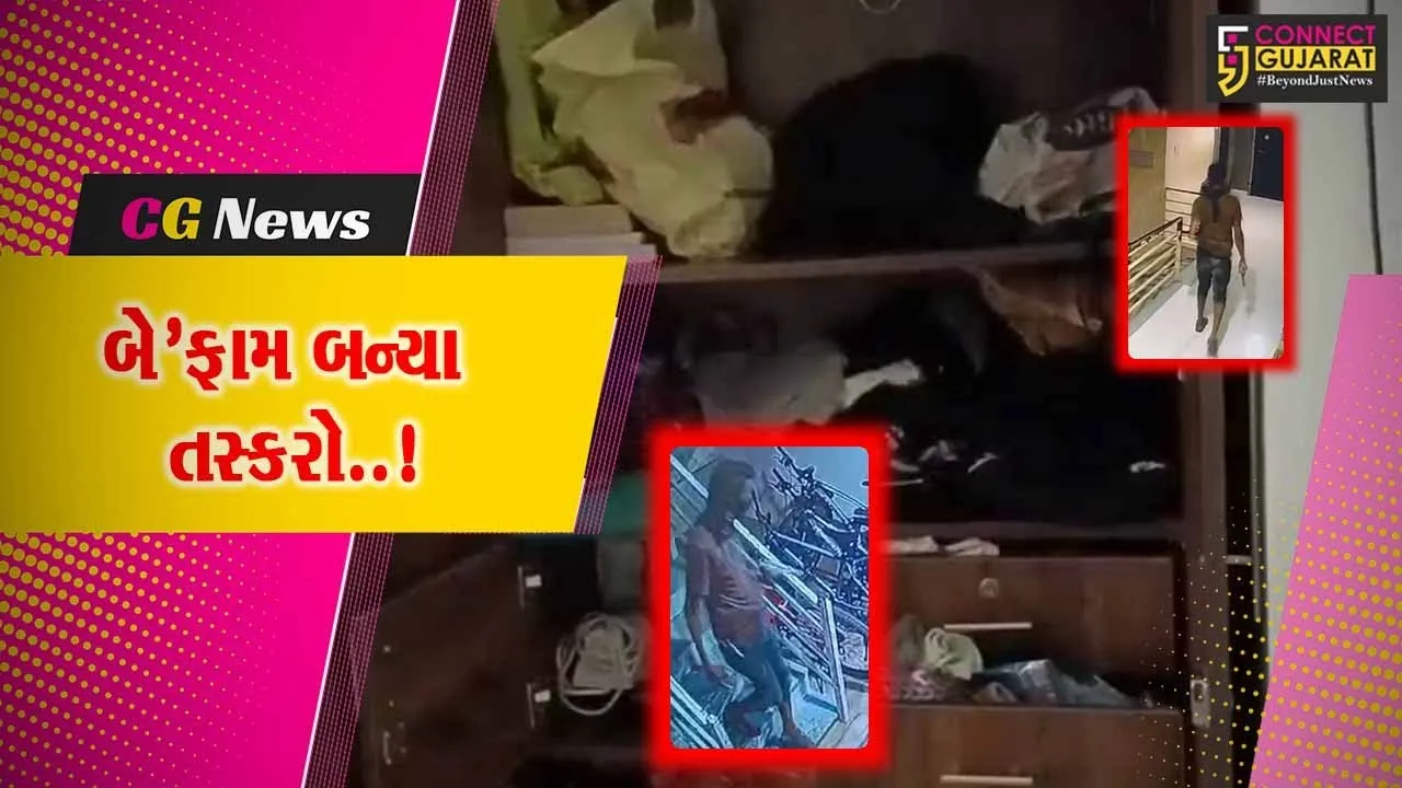 નવસારી : છાપરા રોડ પર સિલ્વર પામ એપાર્ટમેન્ટના 3 ફ્લેટમાંથી રૂ. 2.81 લાખના મત્તાની ચોરી, તસ્કરો CCTVમાં કેદ...