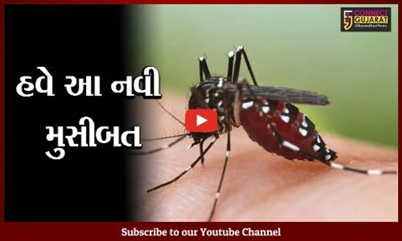 ભાવનગર : કોરોનામાં રાહત તો મચ્છરજન્ય રોગનો પગપેસારો; જાણો તંત્રએ કરી શું કરી તૈયારીઓ