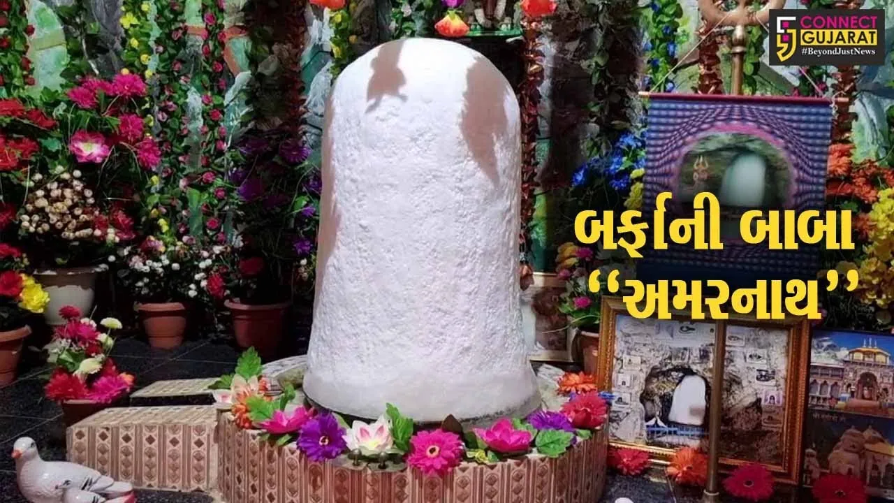ભરૂચ : ઝઘડીયાના શિયાલી ગામે શિવરાત્રિ નિમિત્તે બર્ફાની બાબાની પ્રતિકૃતિનું નિર્માણ કરાયું...