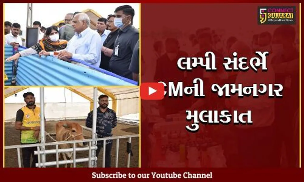 જામનગર : સીએમ ભુપેન્દ્ર પટેલે પશુધન માટેની સુવિધાઓ અને રસીકરણ કેન્દ્રના શેડ્સનું કર્યું નિરીક્ષણ