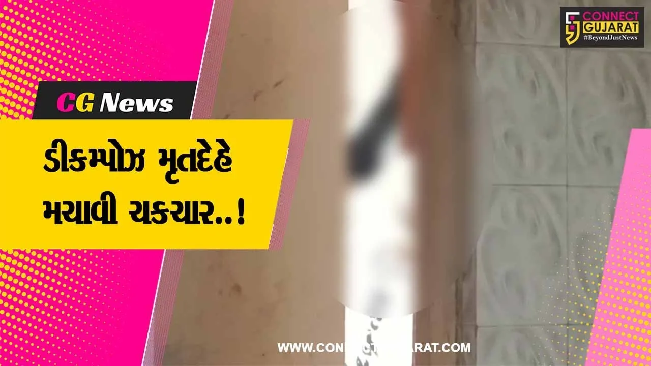 વડોદરા : સમા વિસ્તારના ફ્લેટમાંથી ડીકમ્પોઝ હાલતમાં યુવકનો મૃતદેહ મળી આવ્યો, પોલીસ તપાસ શરૂ...