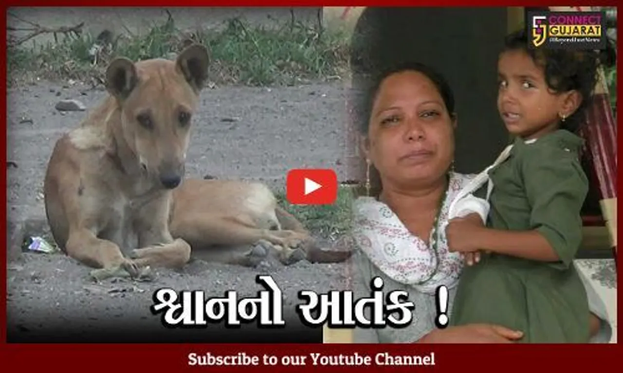 નવસારી: ગણદેવીના ગોયંદી ગામે શ્વાનનો આતંક, 15થી વધુ લોકોને બચકા ભર્યા