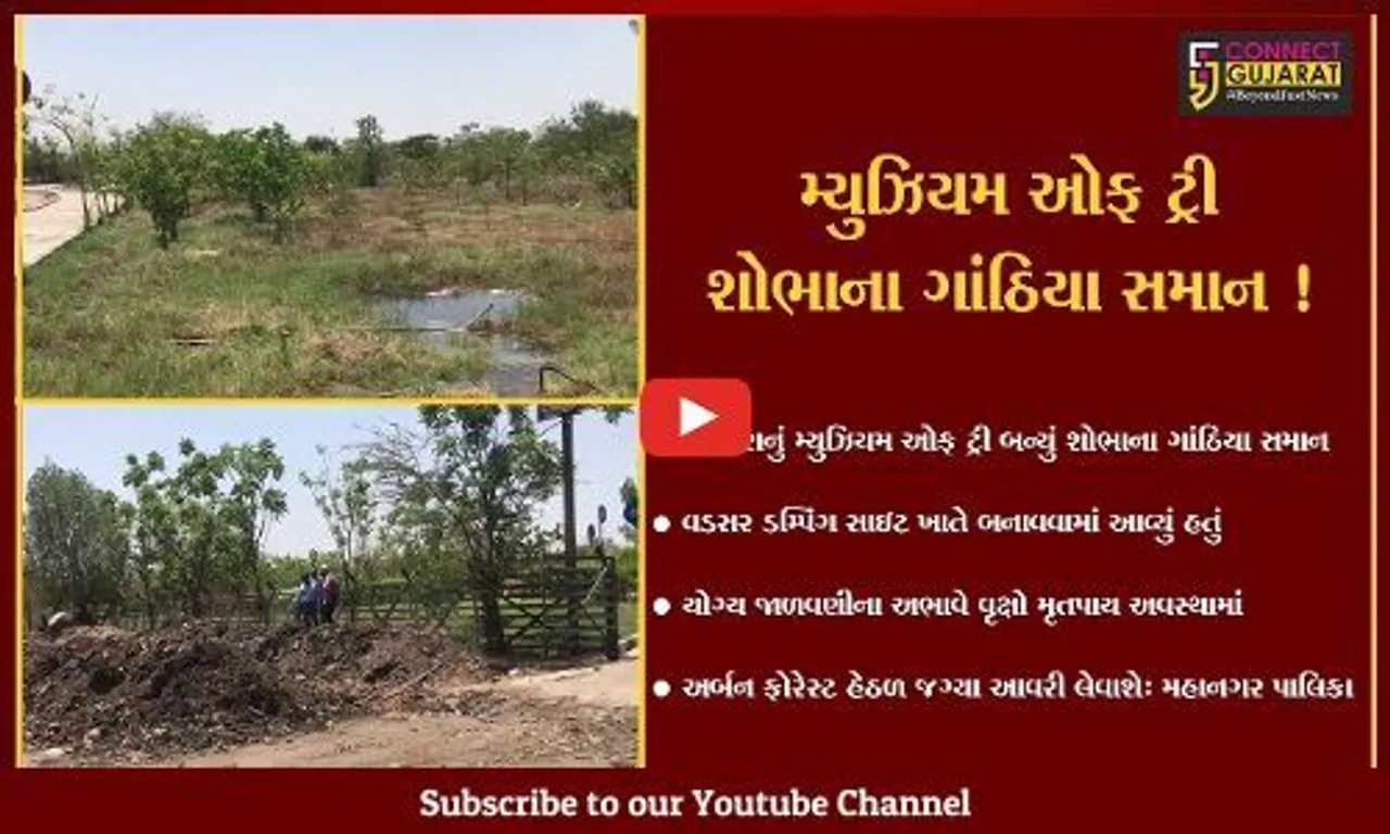 વડોદરા: તંત્રની જાળવણીના અભાવે મ્યુઝિયમ ઓફ ટ્રી  મૃતપાય અવસ્થામાં