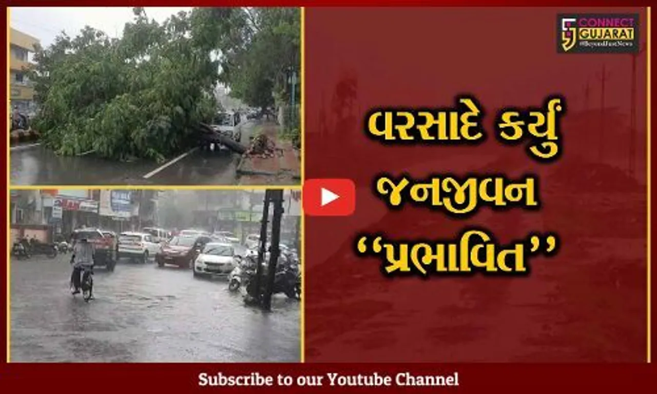 નવસારી : વહેલી સવારથી જ વરસાદ વરસતા જનજીવન પ્રભાવિત, ક્યાક વૃક્ષો ધરાશાયી તો ક્યાક ભરાયા પાણી