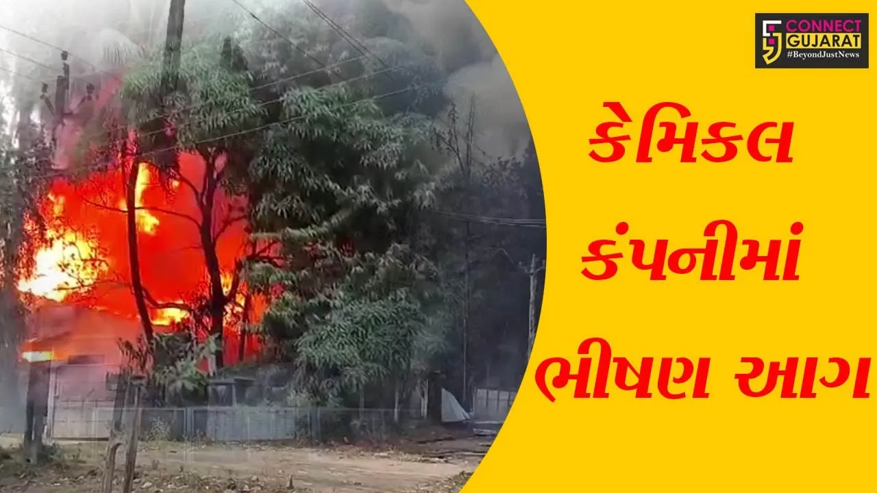વલસાડ: ઉમરગામ GIDCમાં આવેલ કેમિકલ કંપનીમાં ભીષણ આગ ફાટી નીકળતા અફરાતરફીનો માહોલ