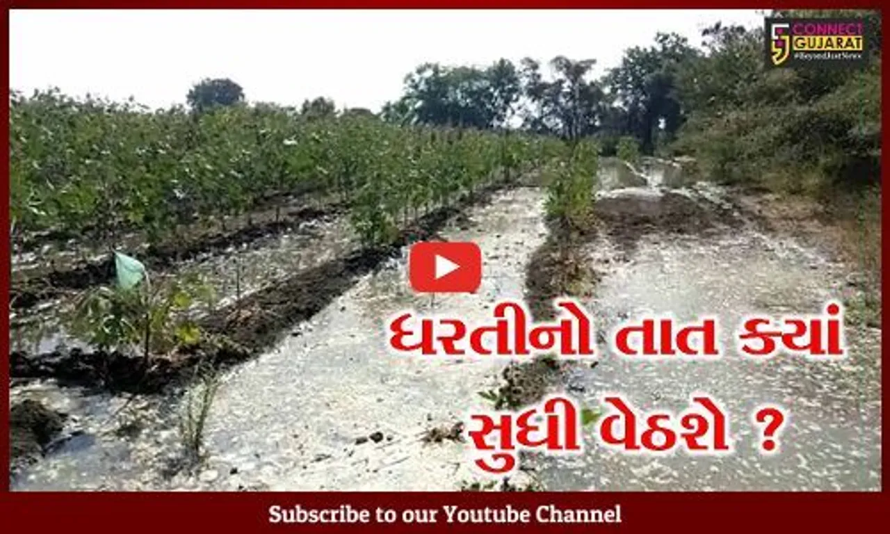 સુરેન્દ્રનગર: લખતરમાં કેનાલનું પાણી લીક થતા ખેતરોમાં ફરી વળ્યુ, ઉભા પાકને નુકશાન થતા ધરતીપુત્રોમાં રોષ