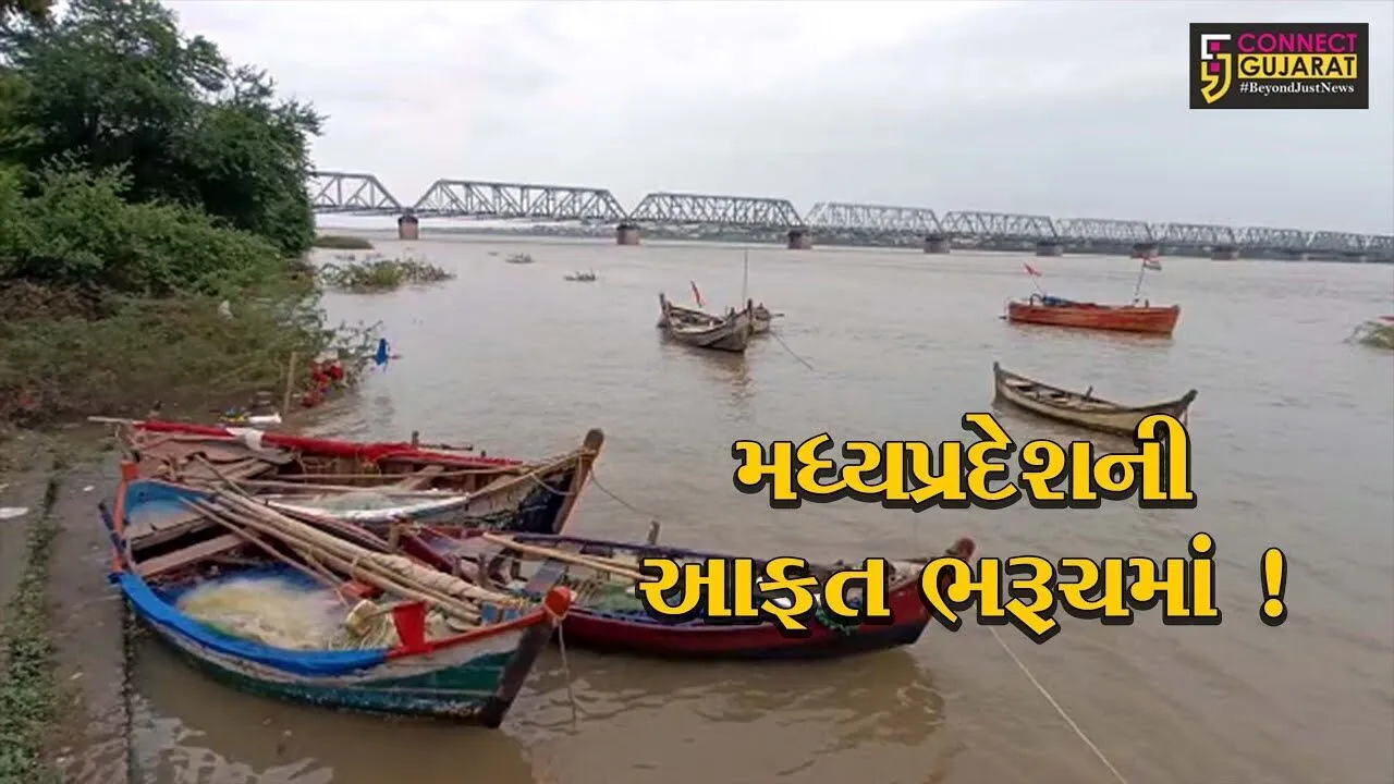 ભરૂચના ગોલ્ડનબ્રિજ નજીક નર્મદા નદીની જળ સપાટીમાં સતત વધારો, ફરી એકવાર પુરનું સંકટ