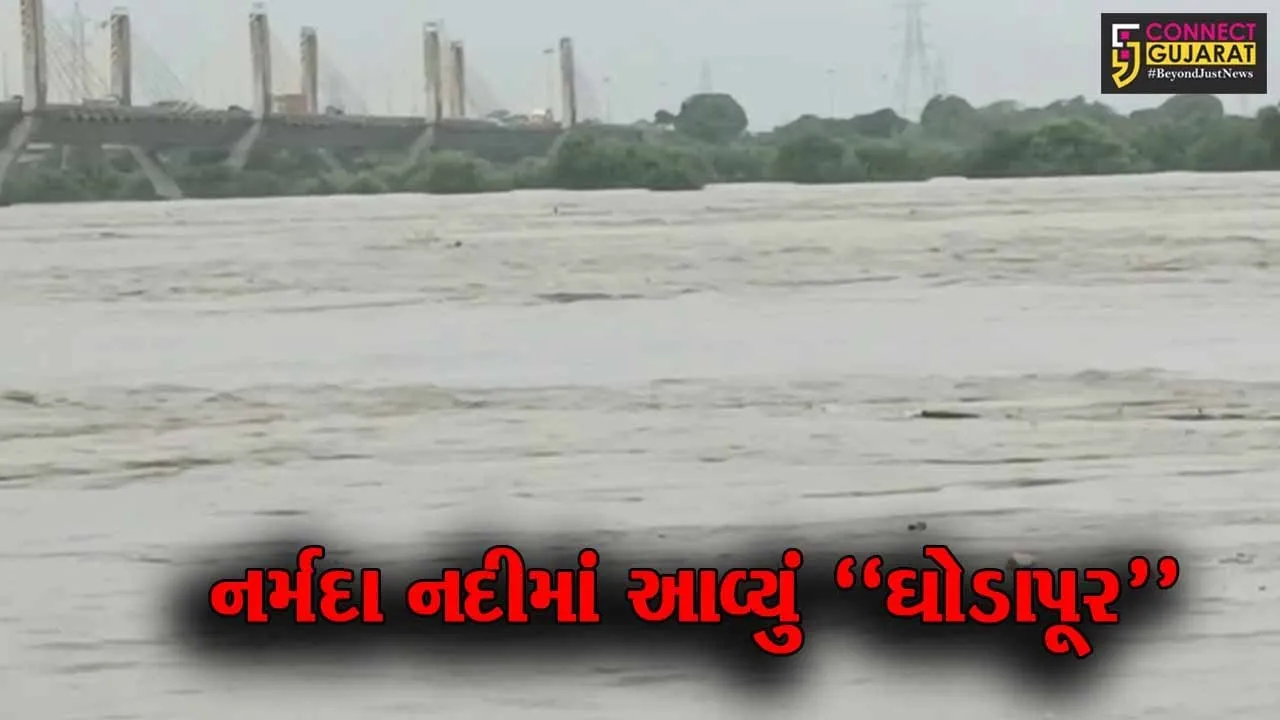 ભરૂચ : નર્મદા નદીમાં પૂરની પરિસ્થિતી વચ્ચે ઝઘડીયાના અનેક ગામોમાંથી લોકોને સ્થળાંતર કરાયા...