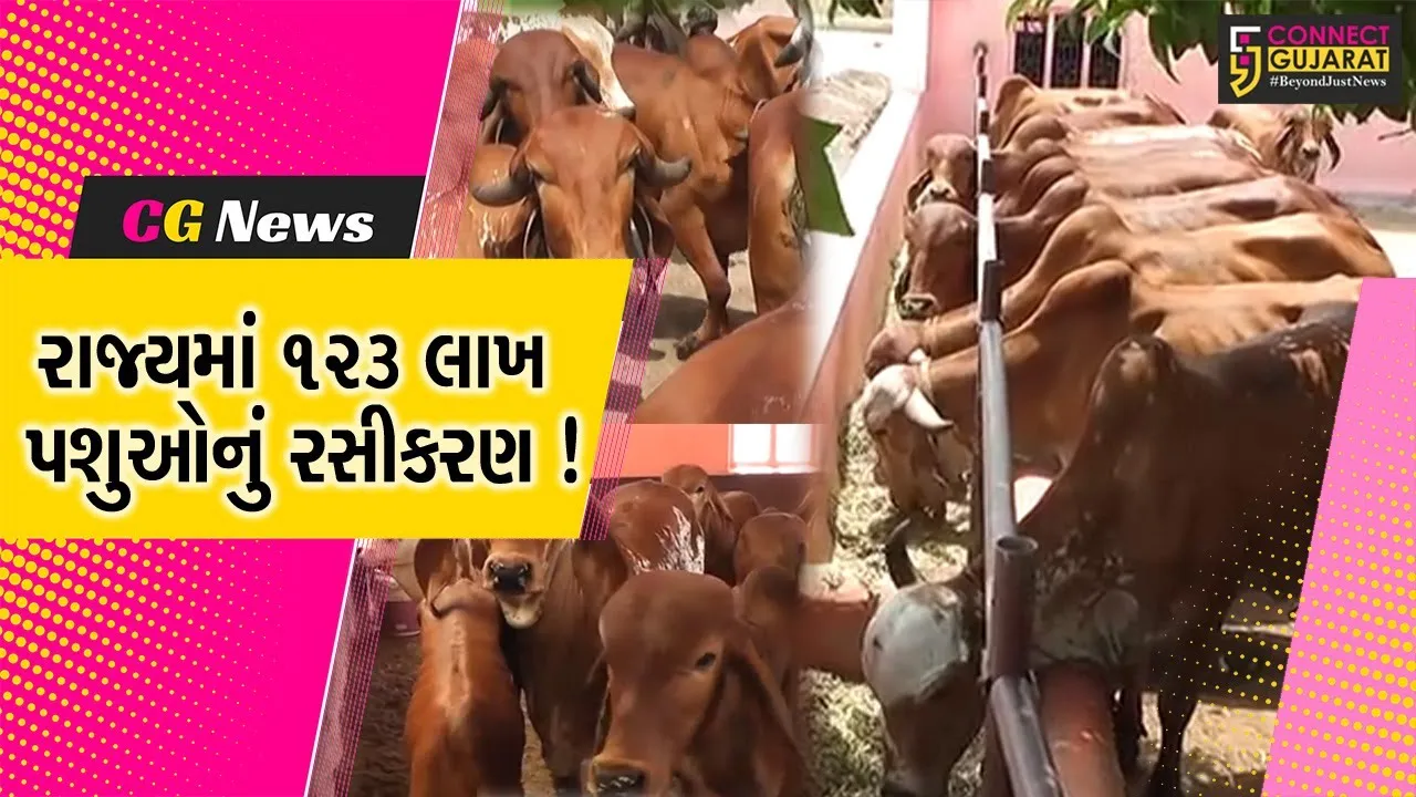 ગાંધીનગર: રાજ્ય સરકાર દ્વારા "નેશનલ એનિમલ ડીસીઝ કંટ્રોલ પ્રોગ્રામ” વેગવંતો બનાવવામાં આવ્યો