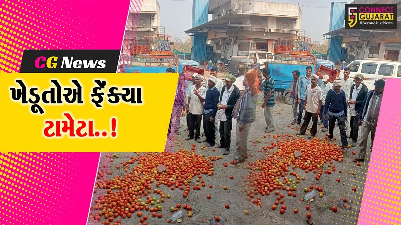 વલસાડ : પોષણક્ષમ ભાવ ન મળતા ખેડૂતોએ APMCમાં ટામેટા ફેંકી ઉગ્ર વિરોધ દર્શાવ્યો...
