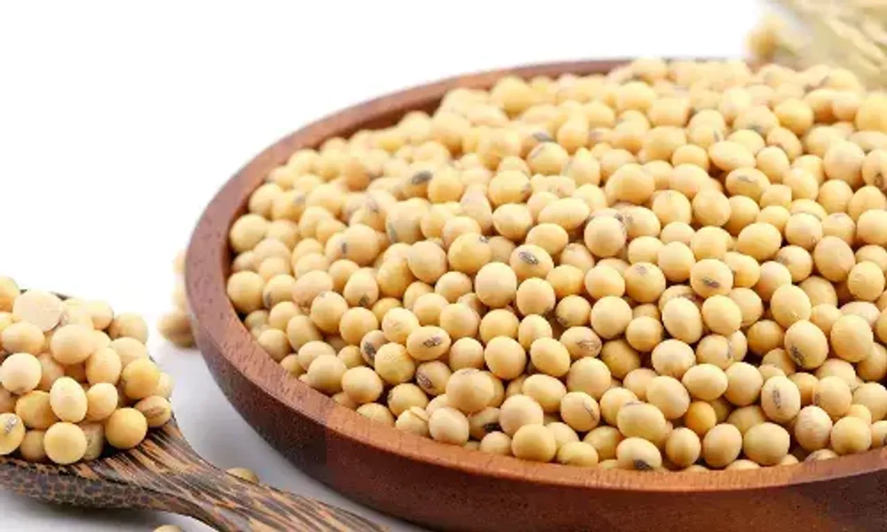 સોયાબીનના છે અઢળક ફાયદાઓ, જાણો દરરોજ કેટલી માત્રામાં સેવન કરવું જોઇએ...