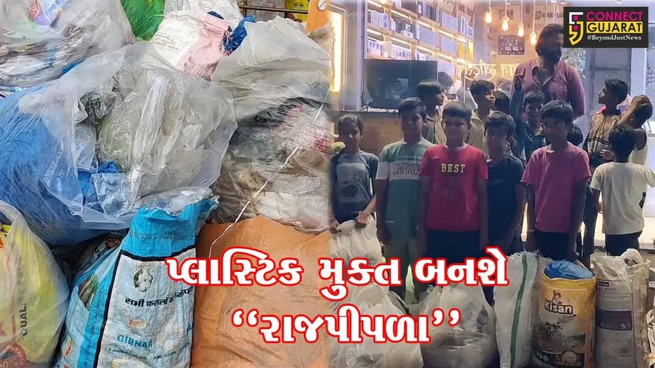 નર્મદા : રાજપીપળાને પ્લાસ્ટિક મુક્ત કરવા જાગૃત યુવાને 3 દિવસમાં 400 કિલો પ્લાસ્ટિક ભેગું કર્યું...