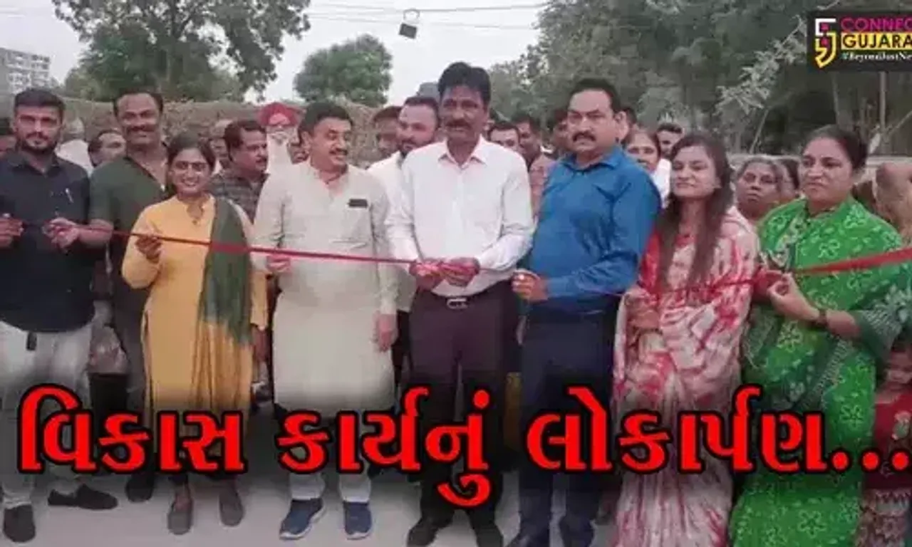 ભરૂચ : ગ્રીનપાર્કથી જ્યોતિનગર સુધી રૂ. 50 લાખના ખર્ચે સીસી માર્ગનું નિર્માણ, ધારાસભ્યના હસ્તે કરાયું લોકાર્પણ...