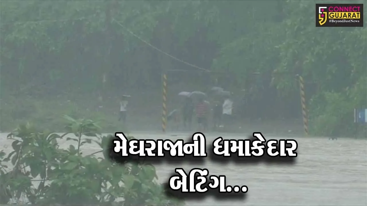 મેઘો મુશળધાર : વલસાડ, નવસારી, વડોદરા સહિતના જિલ્લામાં ખાબક્યો ભારે વરસાદ, ઠેર ઠેર ભરાયા પાણી...