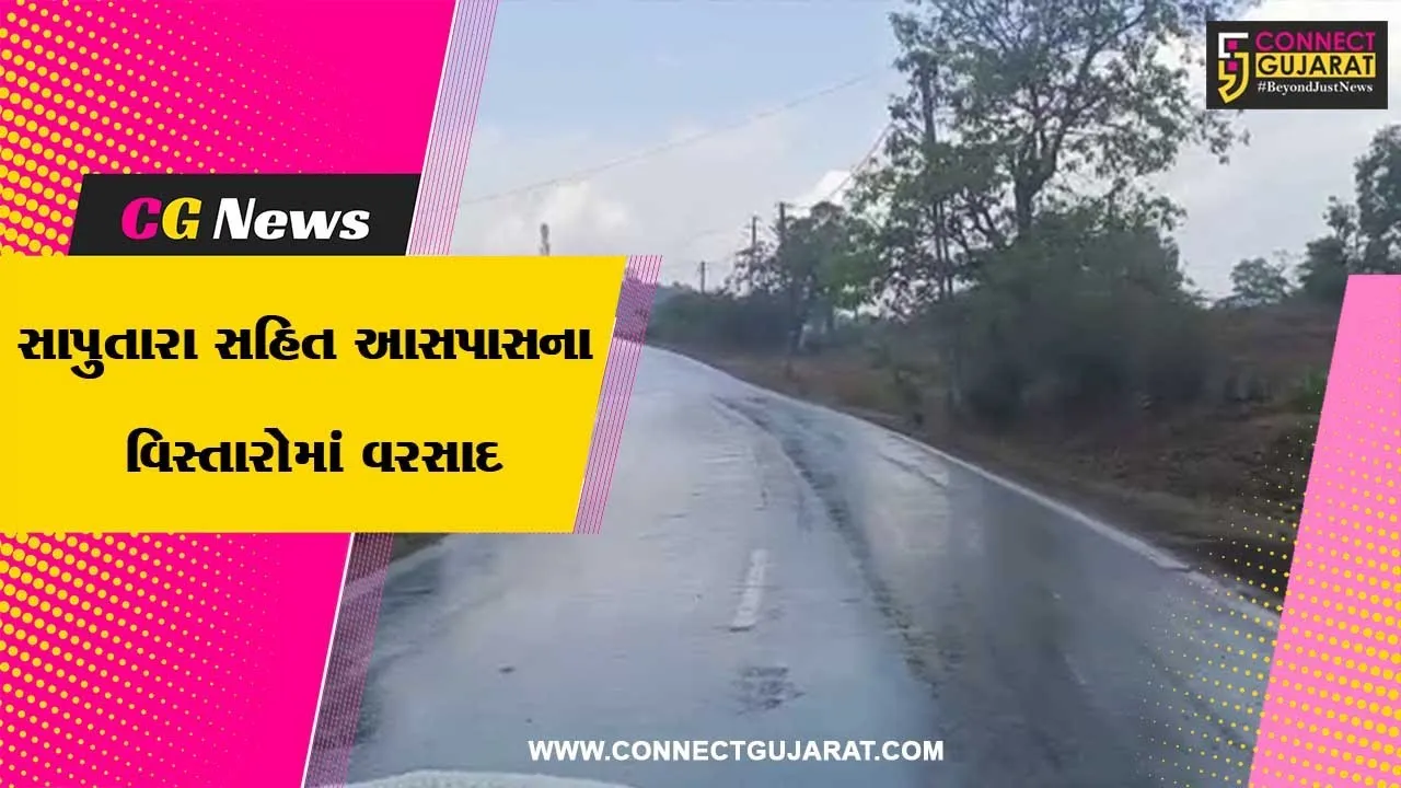 ડાંગ: સાપુતારાના વાતાવરણમાં પલટો, શીત લહેરથી સહેલાણીઓ ગેલમાં