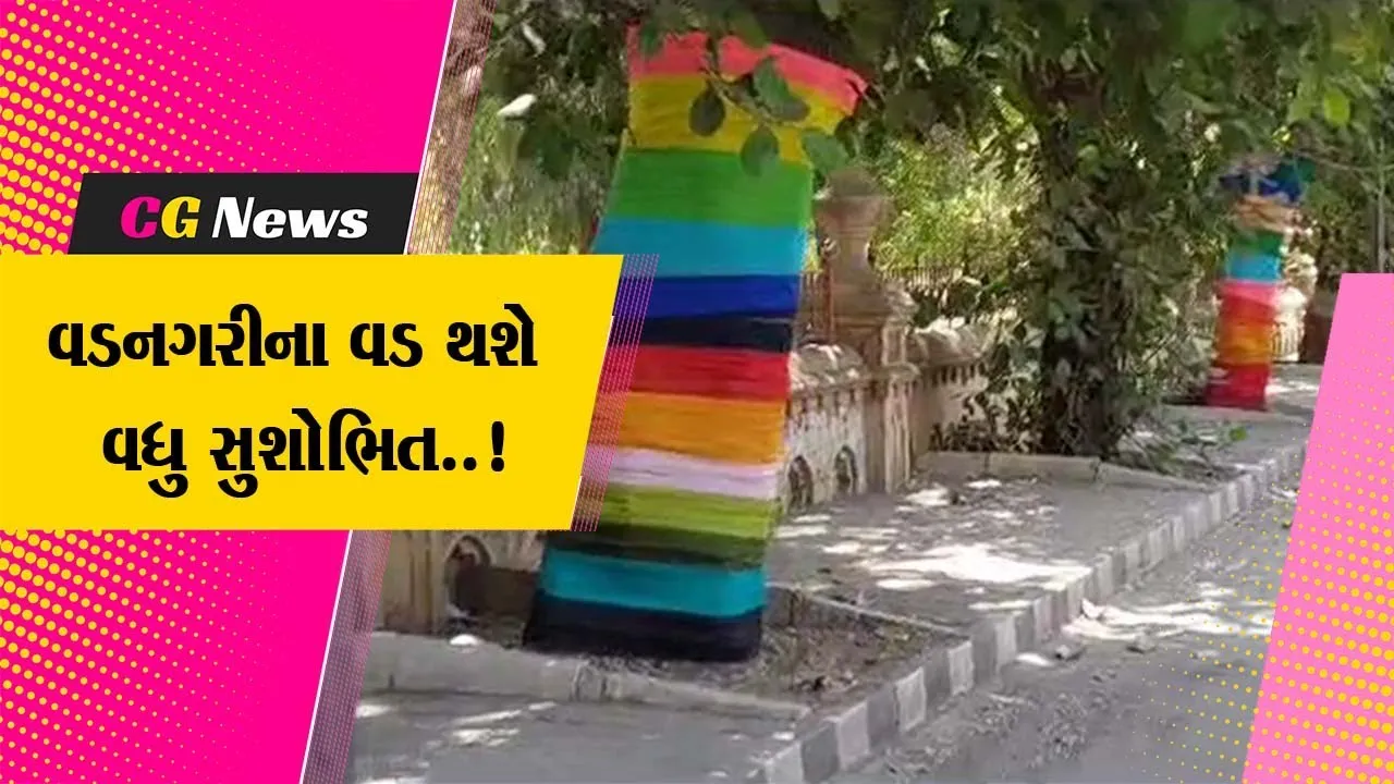 વડનગરી વડોદરામાં અમદાવાદના કલાકારોએ વડને ઇકો ફ્રેન્ડલી કલરથી સુશોભિત કર્યા, પર્યાવરણવાદીઓમાં ઉદાસીનતા..!