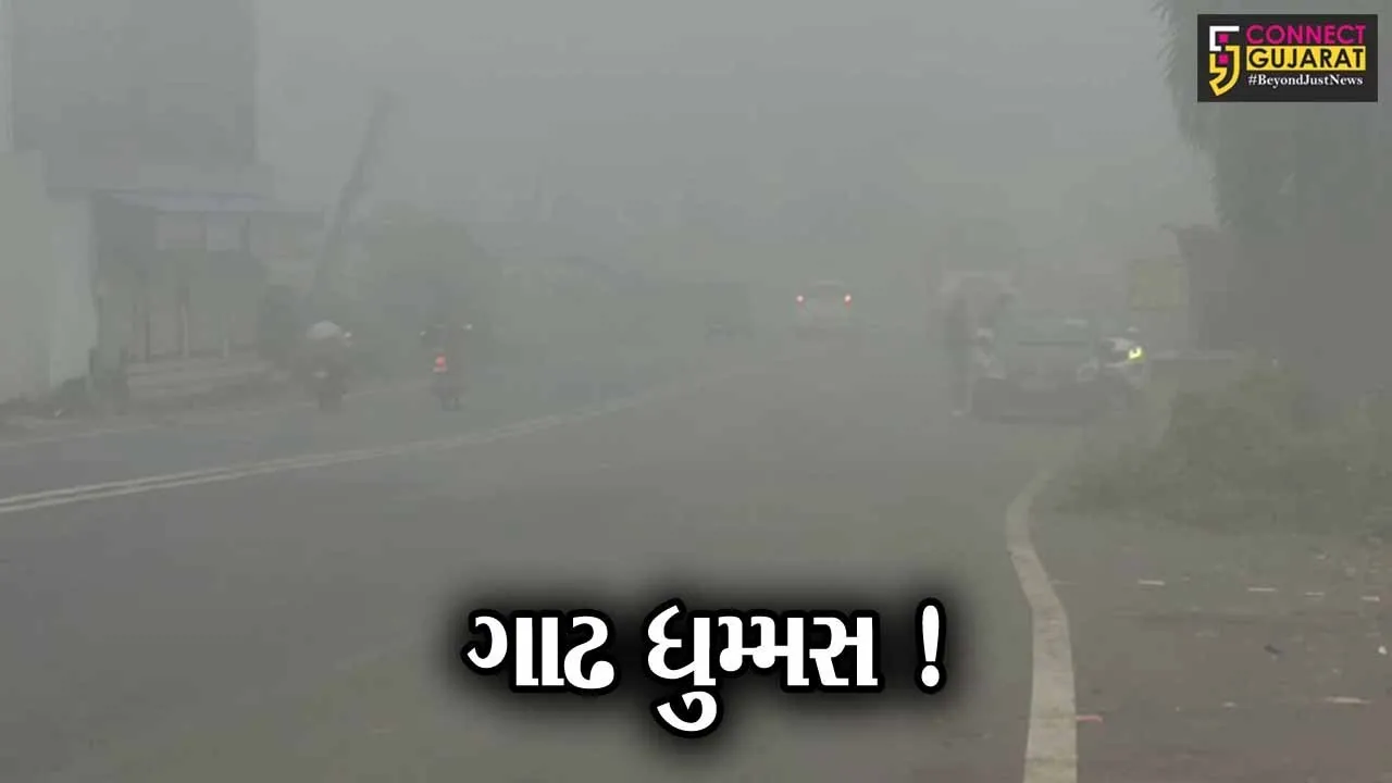 નવસારી અને વલસાડમાં ધુમ્મસની ચાદર છવાઇ, વાહન ચાલકોએ મુશ્કેલીનો કર્યો અનુભવ