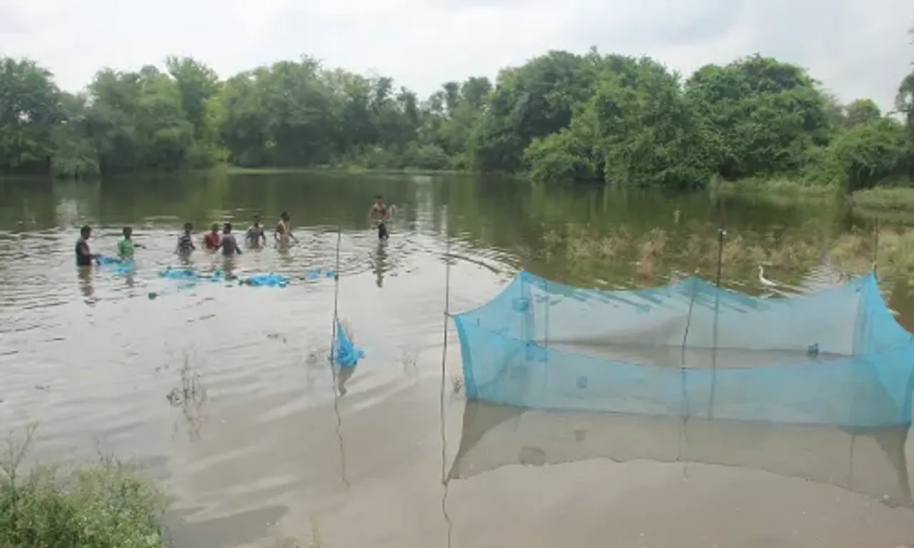 “મત્સ્ય પાલક દિવસ” : મત્સ્ય બીજ ઉછેર યોજનાનો લાભ લઇ ખેડા જિલ્લાના મત્સ્ય ખેડૂતો બન્યા આત્મનિર્ભર...