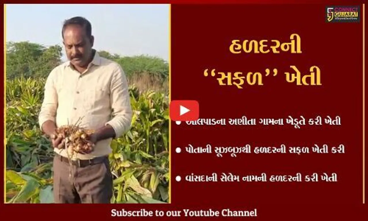 સુરત : ઓલપાડના ખેડૂતે કરી વાંસદાની સેલેમ હળદરની સફળ ખેતી...