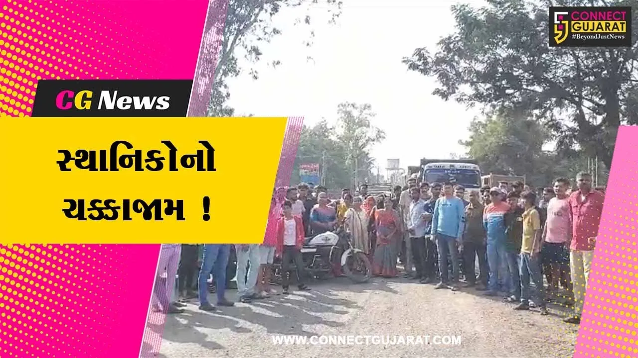 ભરૂચ: રાજપારડીથી નેત્રંગને જોડતો માર્ગ બિસ્માર, સ્થાનિકોએ ચક્કાજામ કરી વિરોધ વ્યક્ત કર્યો