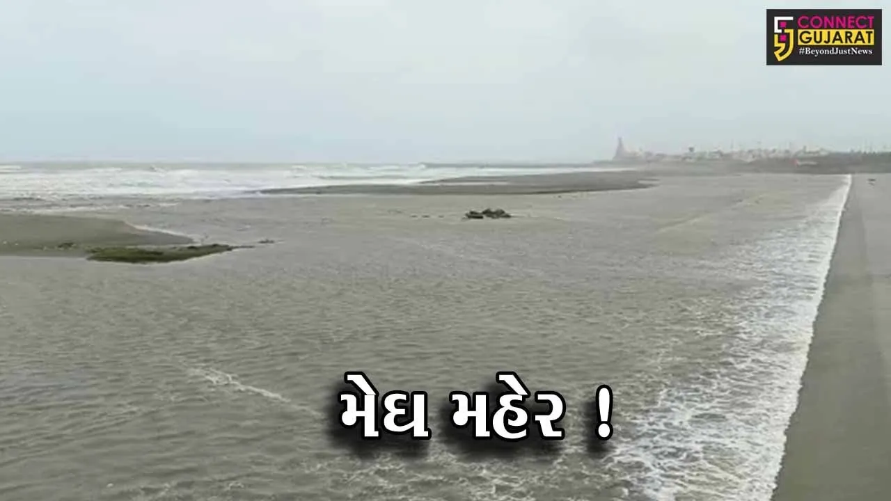 ગુજરાતમાં સાર્વત્રિક વરસાદ, જુનાગઢમાં 10.5 ઇંચ વરસાદ નોંધાતા જળબંબાકારની પરિસ્થિતિ