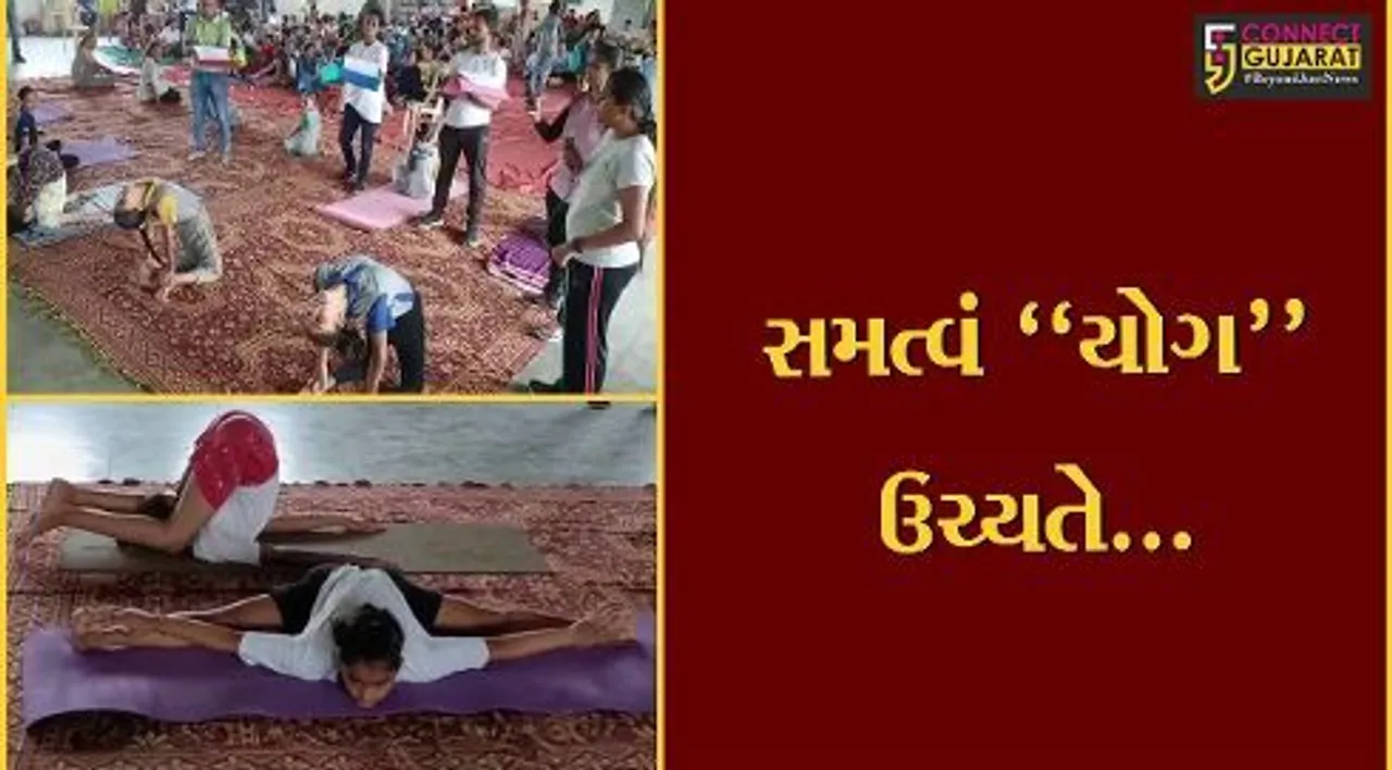ભરૂચ : એમિટી સ્કૂલમાં જિલ્લા કક્ષાની યોગાસન સ્પર્ધા યોજાય, 150થી વધુ સ્પર્ધકોએ ભાગ લીધો