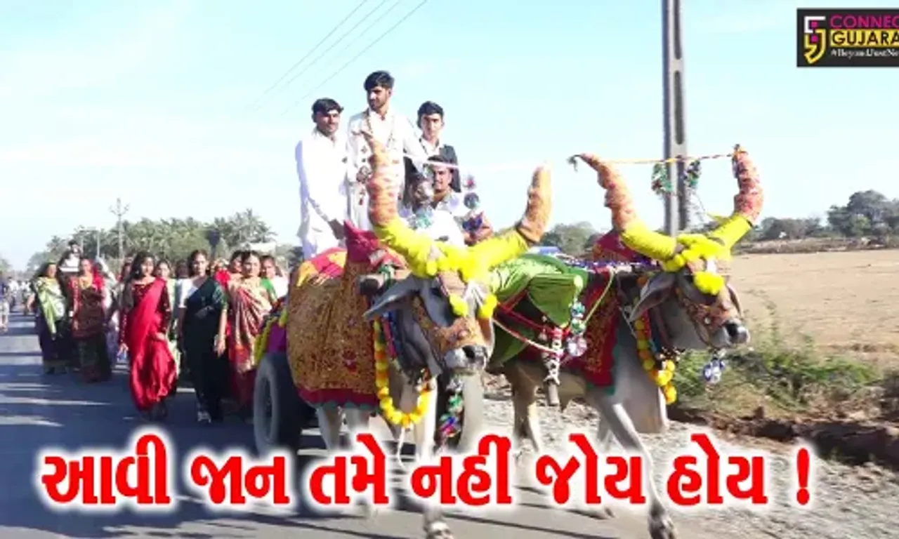 ગીરસોમનાથ: સુત્રાપાડાના લોઢવા ગામે બળદગાડામાં વરરાજાની નિકળી જાન, પરંપરાગત રીતે યોજાયા લગ્ન