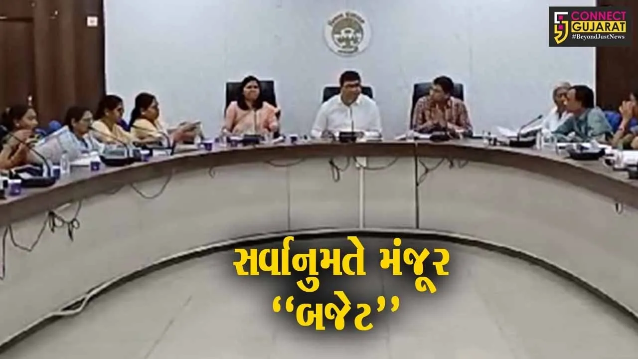 નવસારી : વિપક્ષના વિરોધ વિના જિલ્લા પંચાયતનું રૂ. 1198 કરોડનું બજેટ સર્વાનુમતે મંજૂર…
