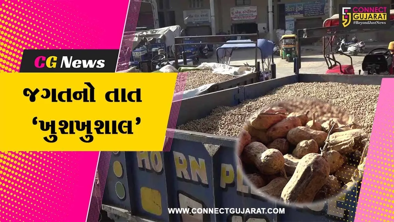 અરવલ્લી : મોડાસા માર્કેટ યાર્ડમાં મગફળીનો સારો ભાવ મળતા ખેડૂતોમાં જોવા મળી ખુશીની લહેર....