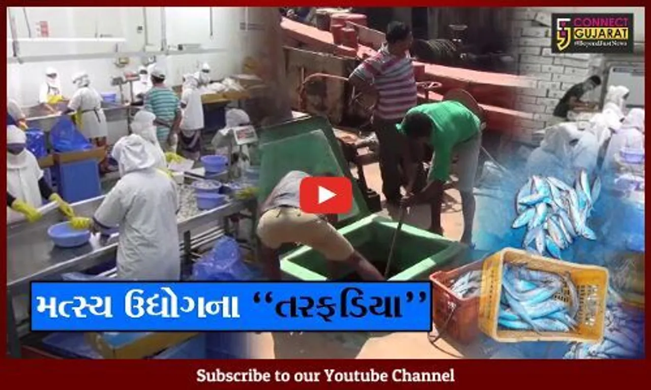 વેરાવળ : 435 કરોડ રૂપિયા અટવાય જતાં મત્સ્યઉદ્યોગ મરણપથારીએ, માછલીઓની અટકશે નિકાસ