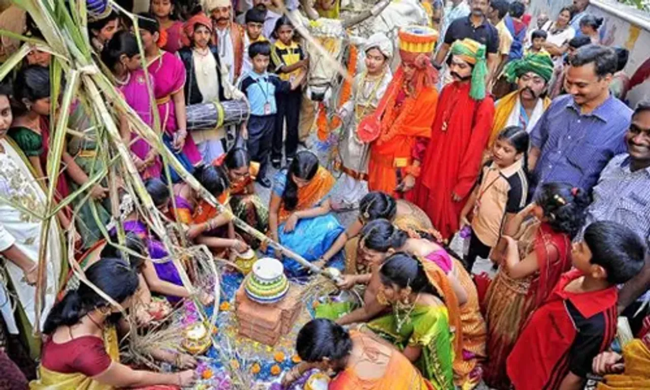 તમિલનાડુમાં દરેક જગ્યાએ પોંગલની ઉત્સાહભેર કરવામાં આવી રહી છે ઉજવણી