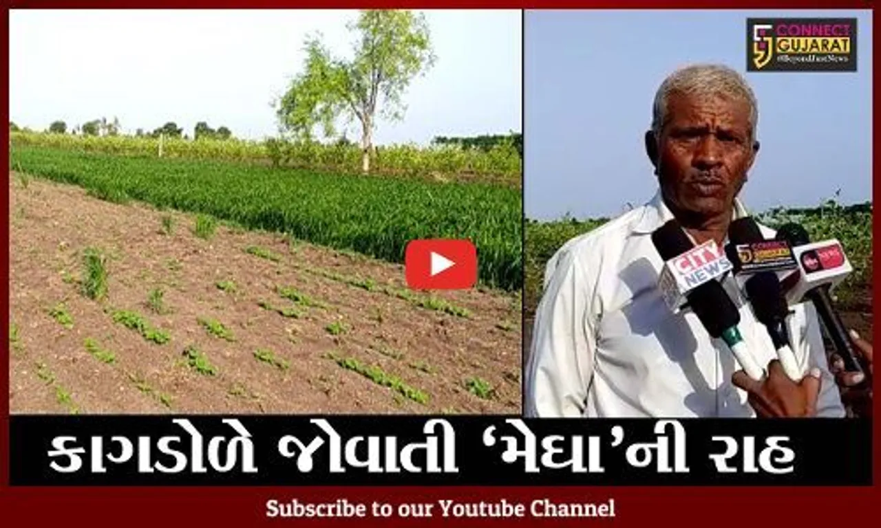 ભાવનગર : પાકોનું વાવેતર કર્યા બાદ વરસાદ ખેંચાતા ધરતીપુત્રો ચિંતાતુર