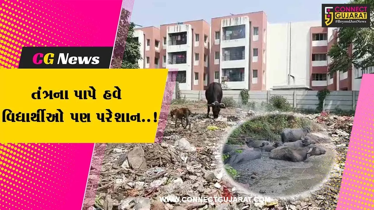 ભરૂચ : એગ્રીકલ્ચર કોલેજની હોસ્ટેલ નજીક ગંદકીનું સામ્રાજ્ય, વિદ્યાર્થીઓ બન્યા રોગચાળાનો ભોગ...