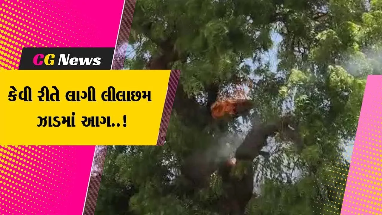 બનાસકાંઠા : ખોડા ગામે લીલાછમ લીમડાના ઝાડમાં ફાટી નીકળી આગ, લોકો આશ્વર્યમાં મુકાયા..!