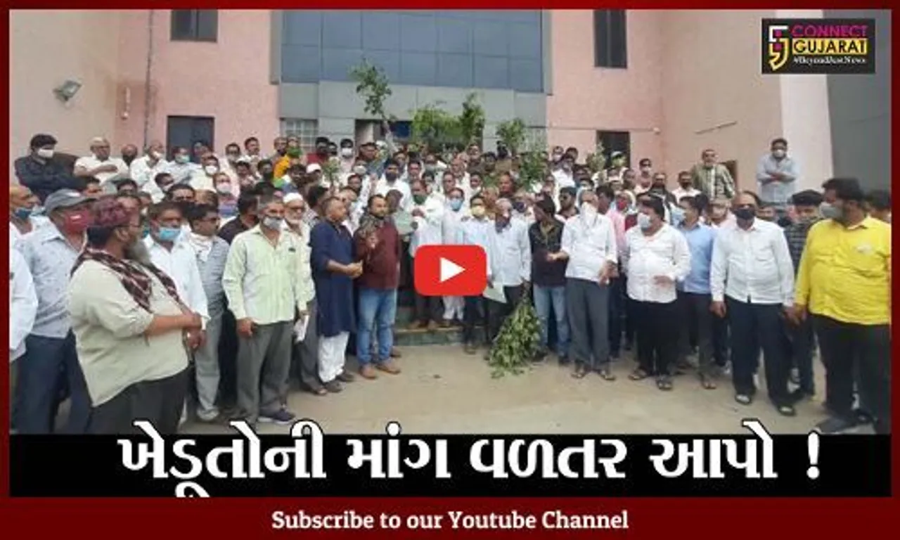 ભરૂચ : કપાસના પાક પર કેમિકલ હુમલાથી ખેડૂતોને વ્યાપક નુકશાન, ક્લેક્ટરને પાઠવ્યું આવેદનપત્ર