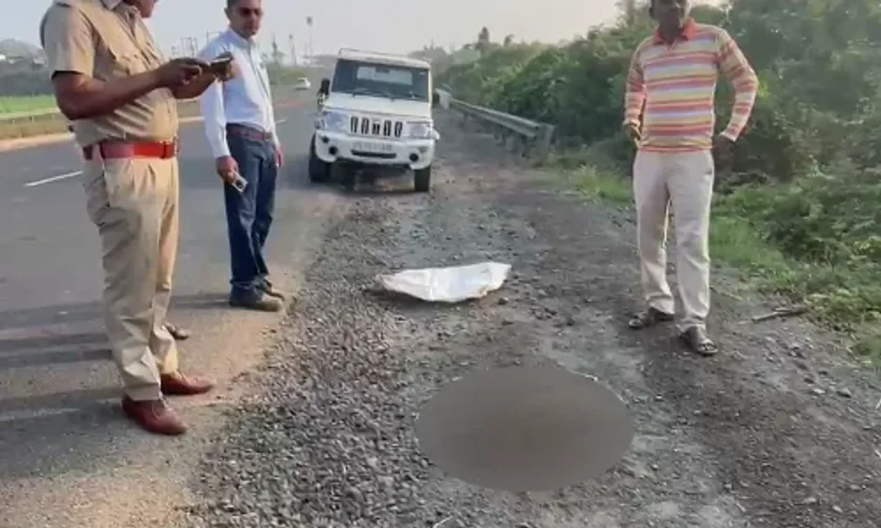 ભરૂચ : ઝઘડીયાના ગોવાલી ગામ નજીક અજાણ્યાં વાહનની ટક્કરે દીપડાનું મોત, વન વિભાગ દોડતું થયું...
