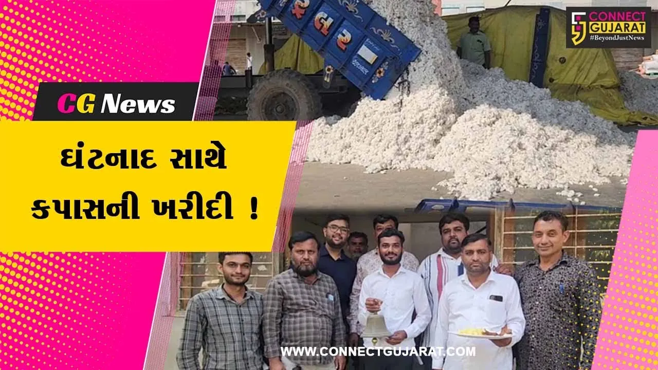 સાબરકાંઠા: હિંમતનગરમાં કપાસની ખરીદીની શુભ મુહુર્તમાં શરૂઆત, 30 હજાર કિલો કપાસની આવક