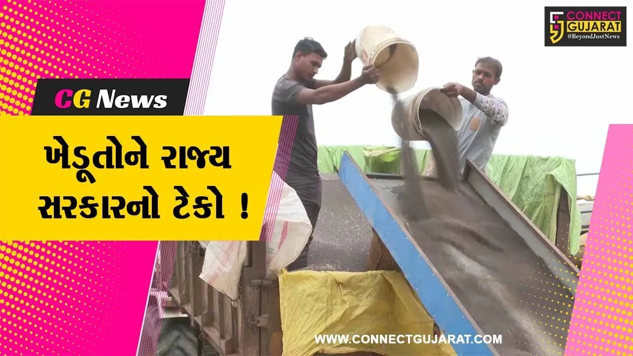 રાજ્ય સરકારે વિવિધ પાકની ટેકાના ભાવે ખરીદી કરી શરૂ, ખેડૂતોને મળ્યો લાભ