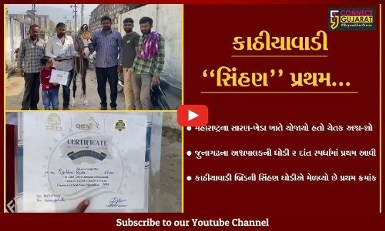 જુનાગઢ : મહારાષ્ટ્રમાં યોજાયેલ અશ્વ-શોમાં કાઠીયાવાડી બ્રિડની "સિંહણ" ઘોડીએ મેળવ્યો પ્રથમ ક્રમાંક.