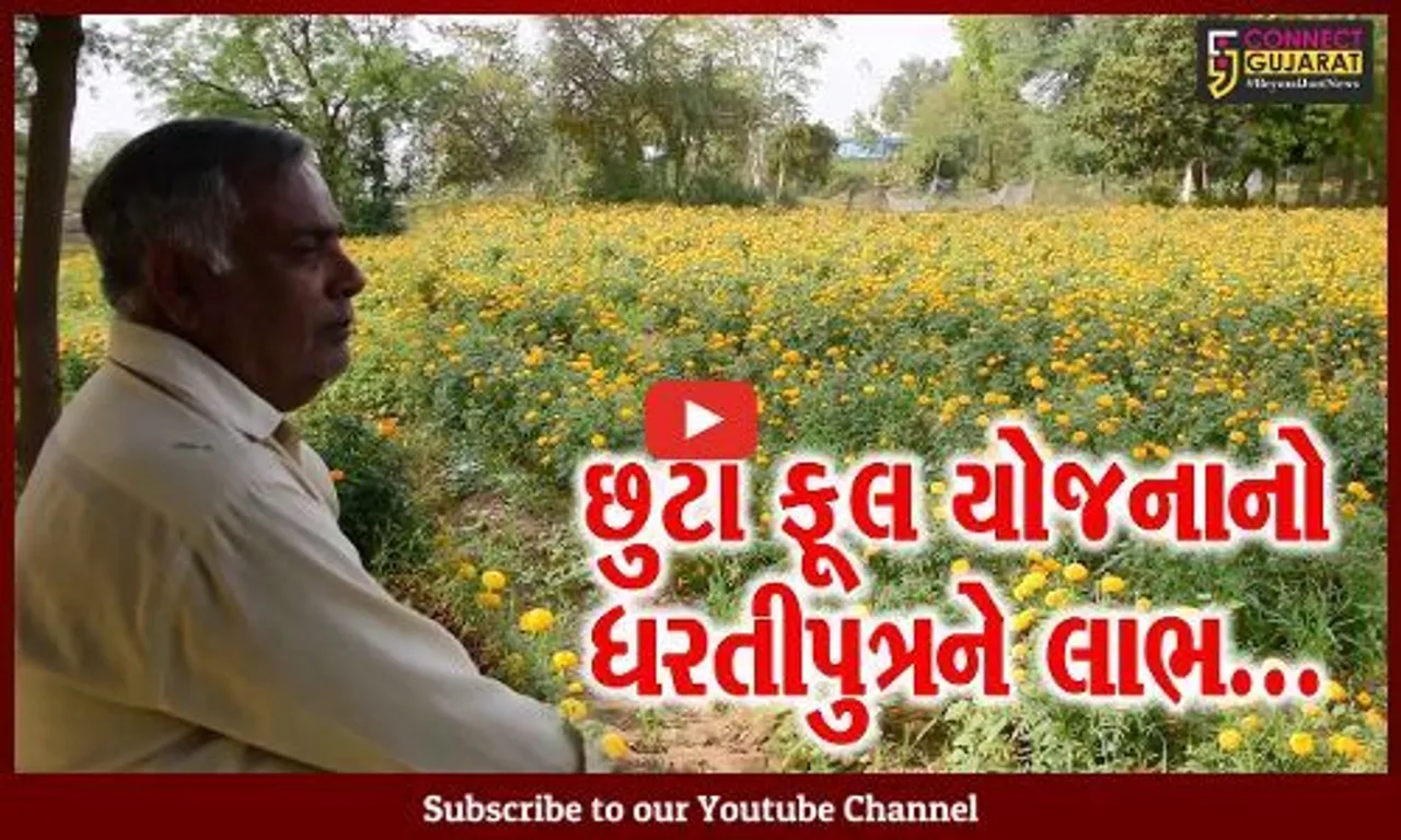 રાજ્ય સરકારના બાગાયત વિભાગની "છુટા ફૂલ યોજના"નો આણંદના ધરતીપુત્રને મળ્યો લાભ...