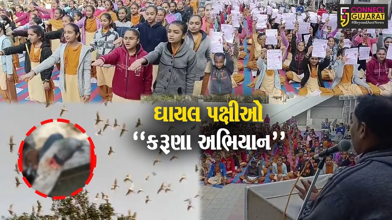 ઉત્તરાયણમાં ઘાયલ પક્ષીઓ માટે વરદાન બનશે “કરૂણા અભિયાન”, રાજ્યભરમાં શરૂ કરાયા સારવાર કેન્દ્ર...