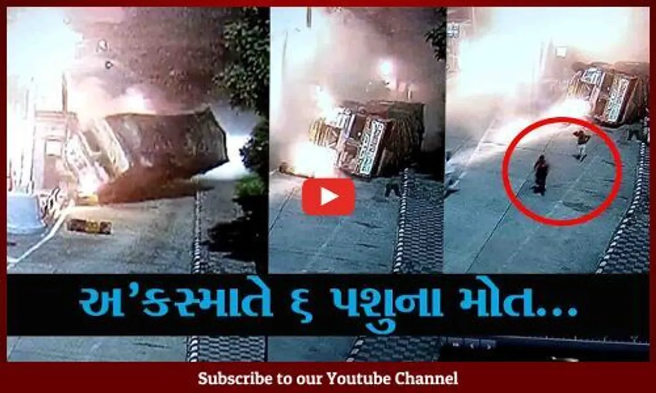 અરવલ્લી : પશુની તસ્કરી કરતો ટ્રક પલટી મારી જતાં 6 પશુના મોત, જુઓ LIVE વિડિયો...