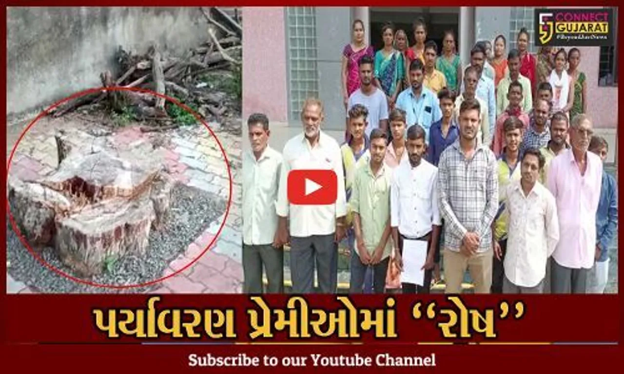 ભરૂચ : વેંગણી ગામે વૃક્ષોના ગેરકાયદેસર છેદન સામે ગ્રામજનોનો વિરોધ, કલેક્ટર કચેરીએ કરી રજૂઆત...